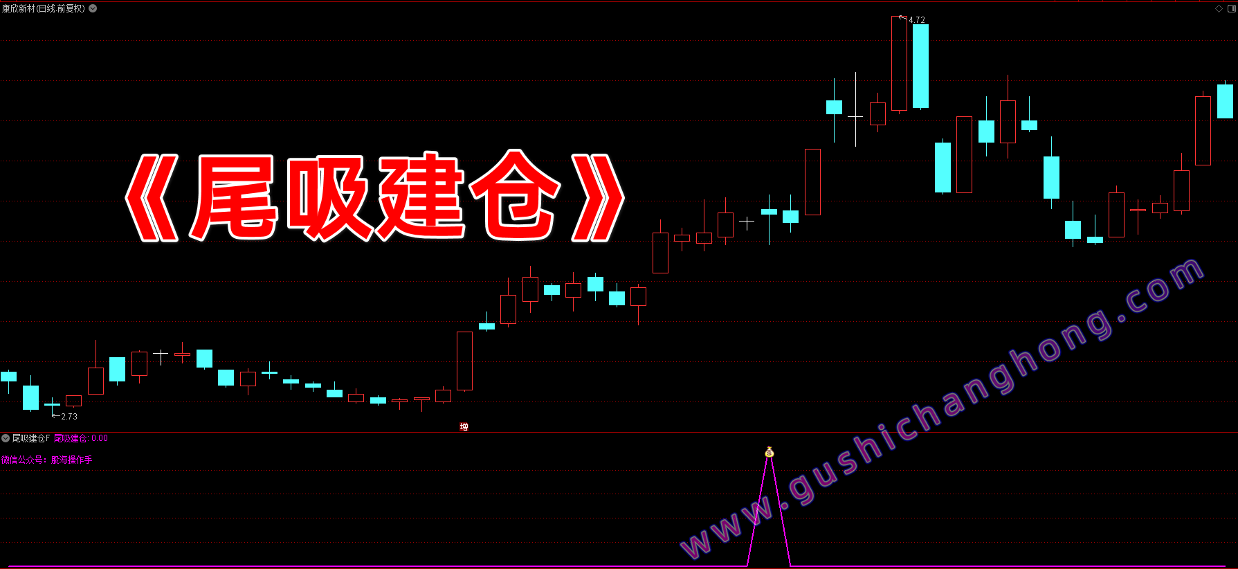 尾吸建仓指标 尾吸建仓指标