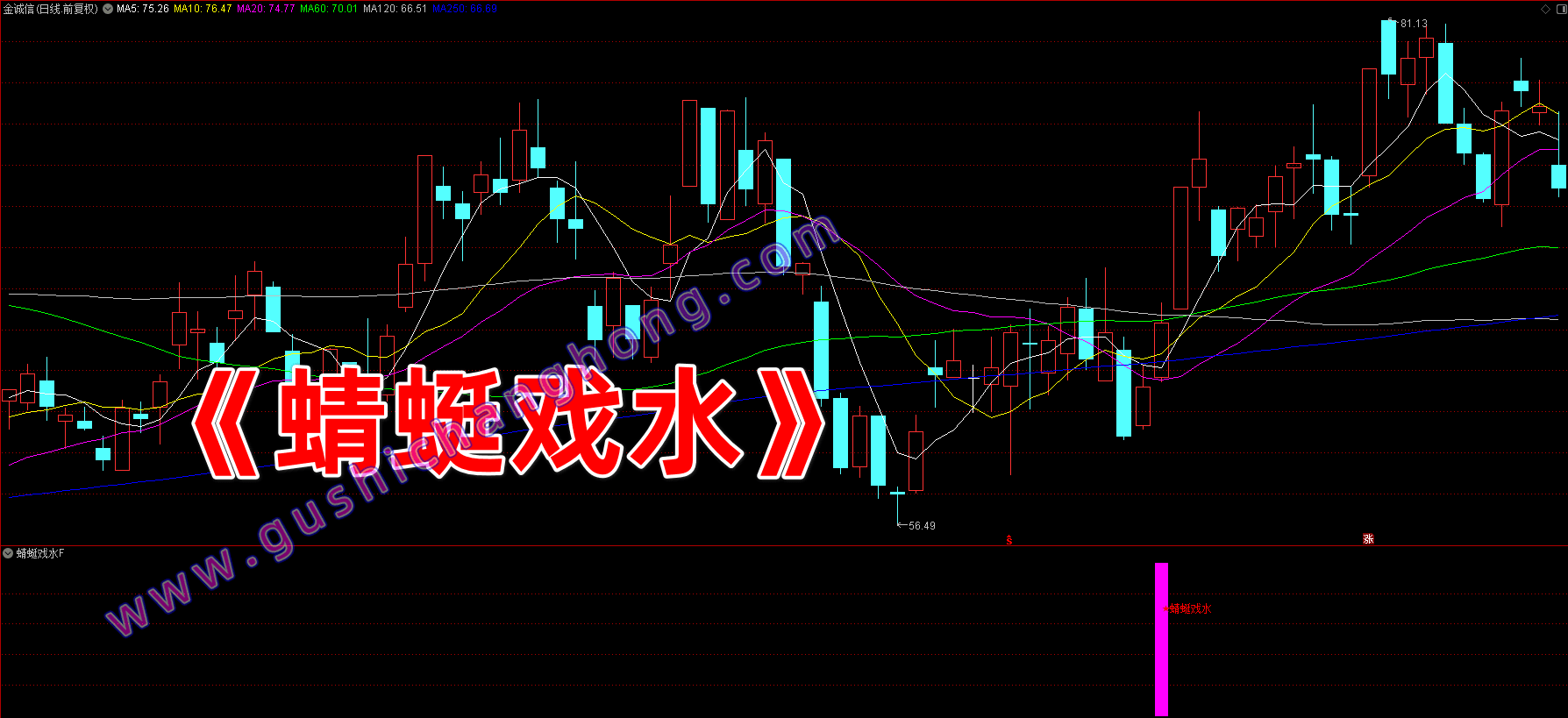 蜻蜓戏水指标 蜻蜓戏水指标