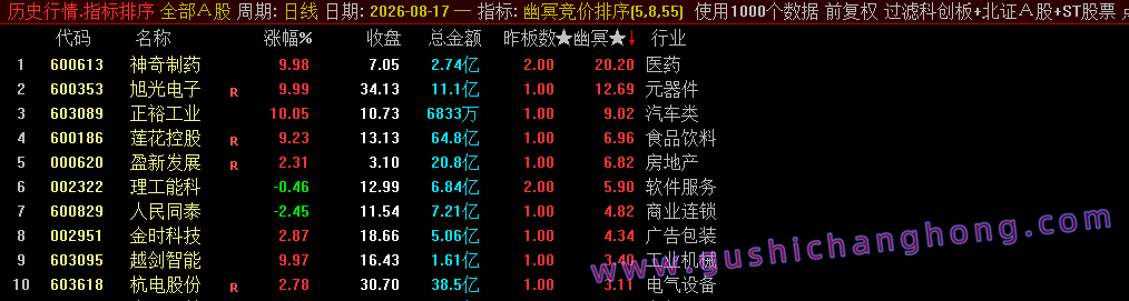 幽冥竞价指标