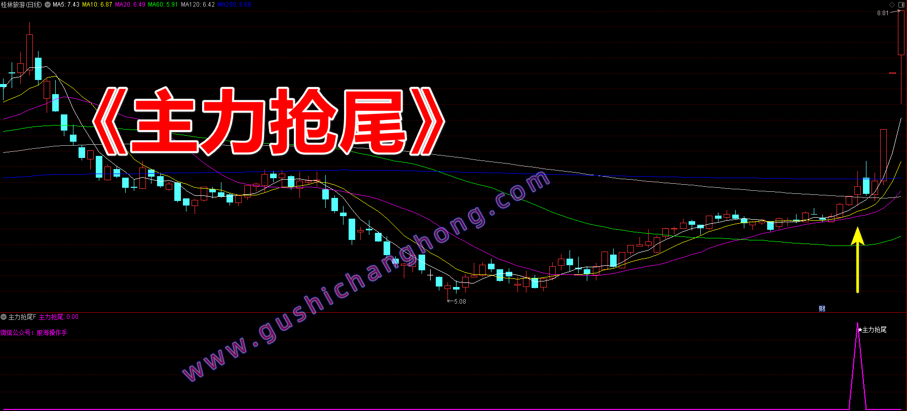 主力抢尾指标