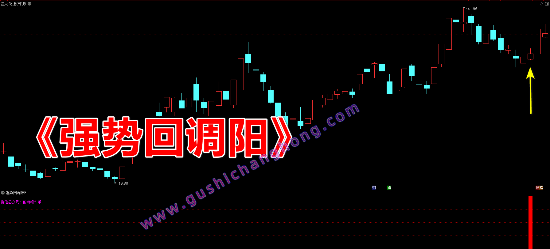 强势回调阳指标 强势回调阳指标