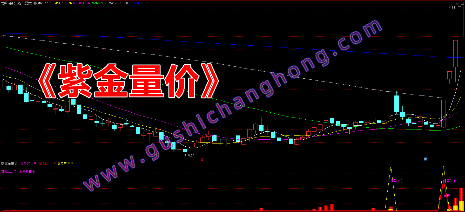 紫金量价指标 紫金量价指标