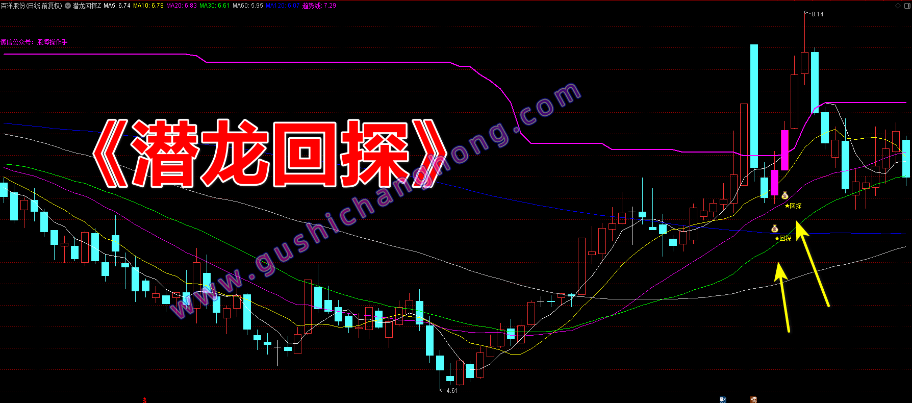 龙偷回探指标 龙偷回探指标