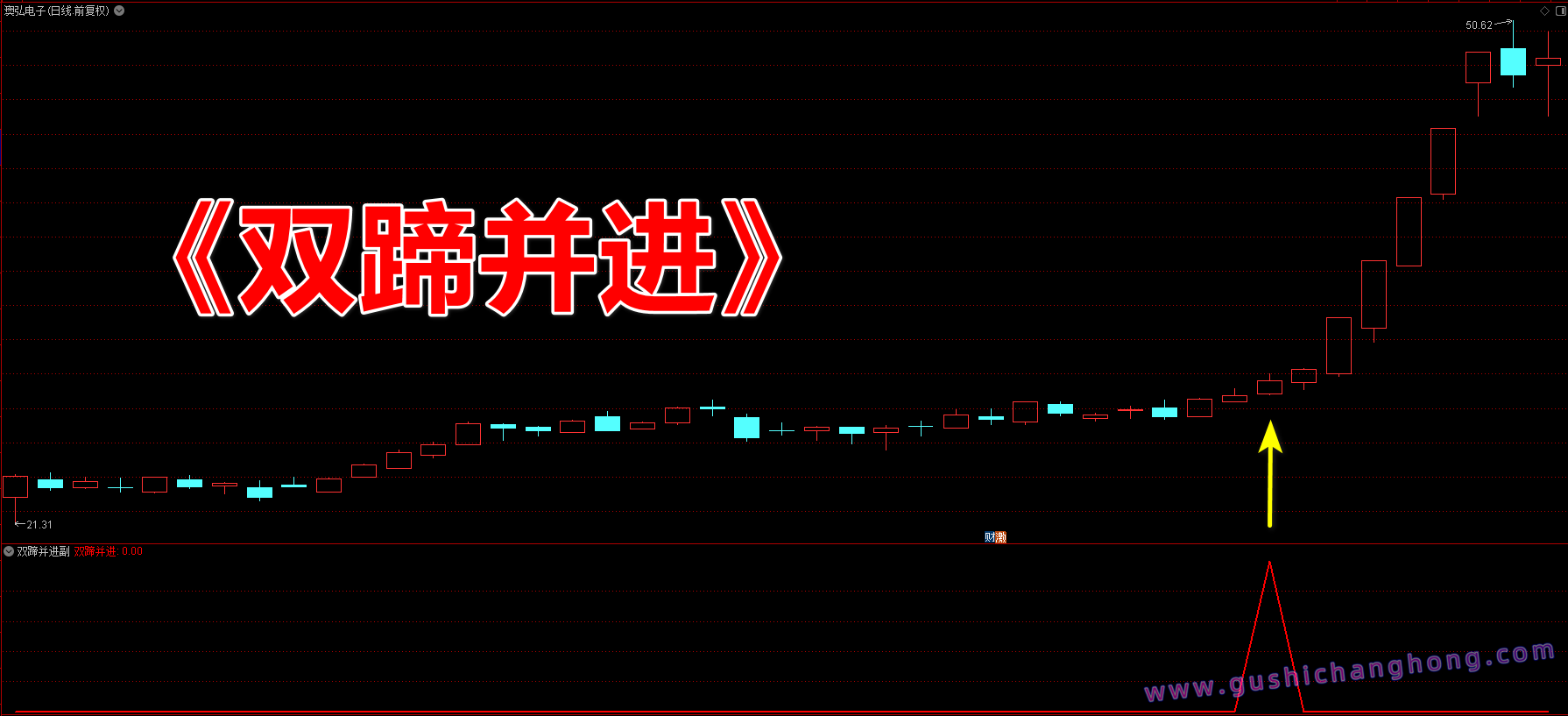双蹄并进指标 双蹄并进指标