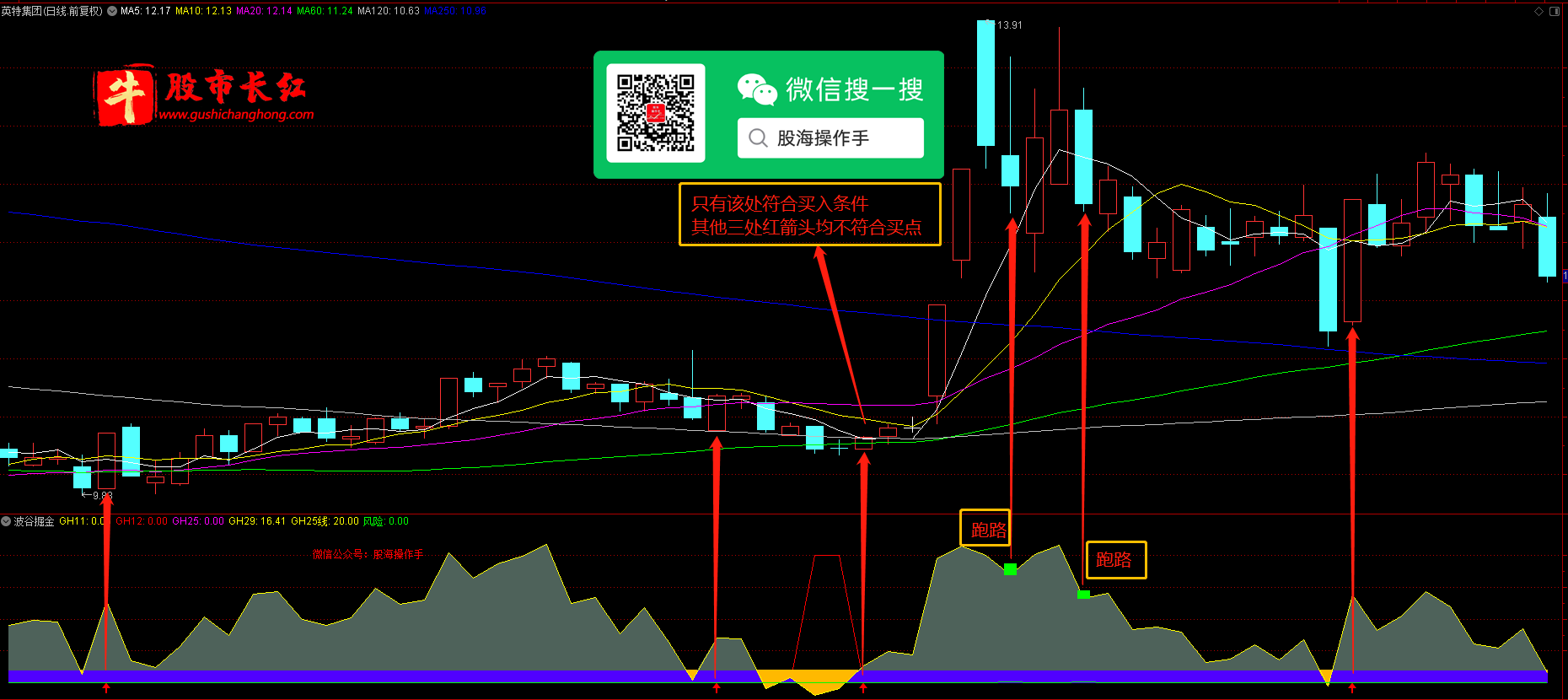 股市长红网-图示5.png