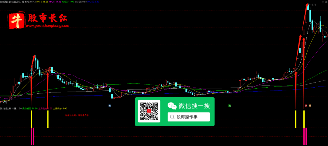 绝对主升浪指标