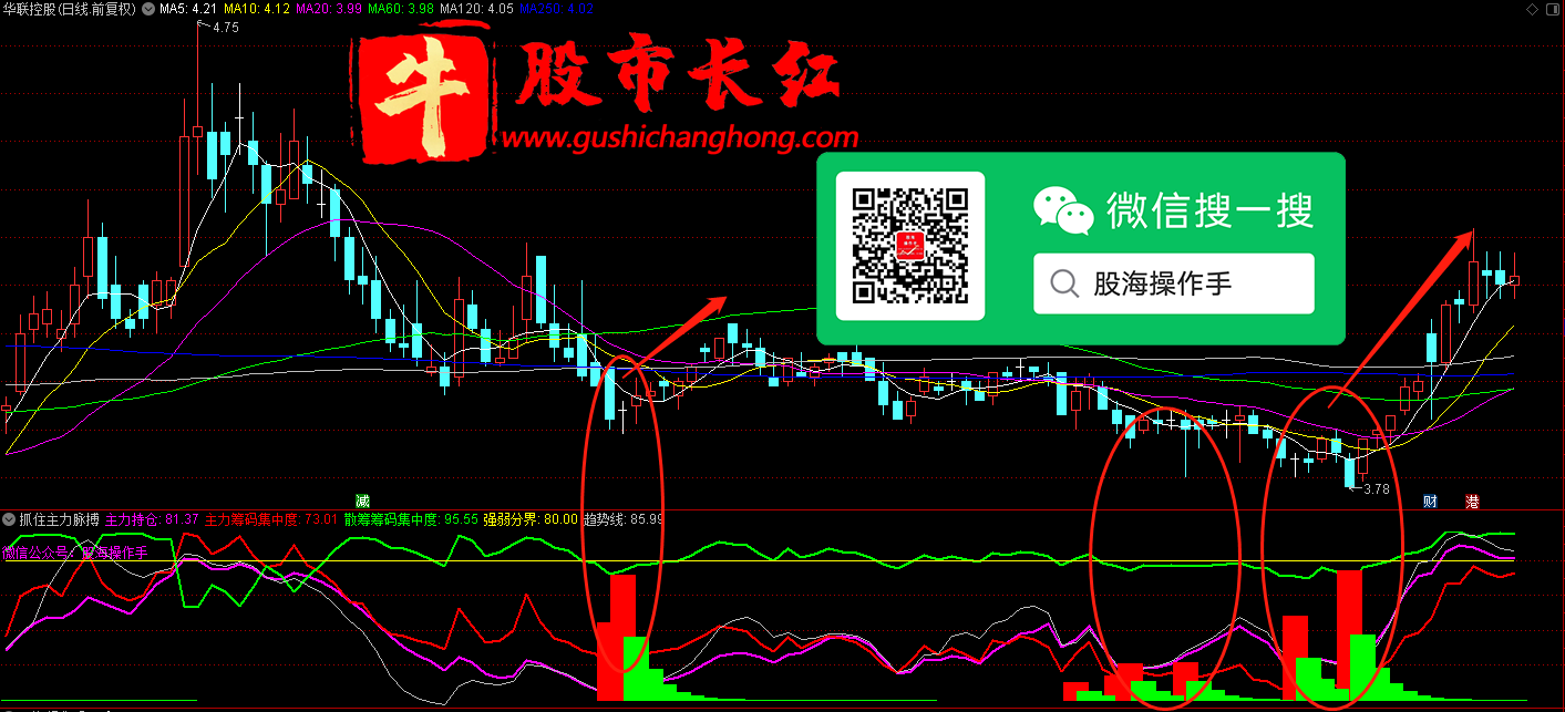 股市长红网-图示1.png