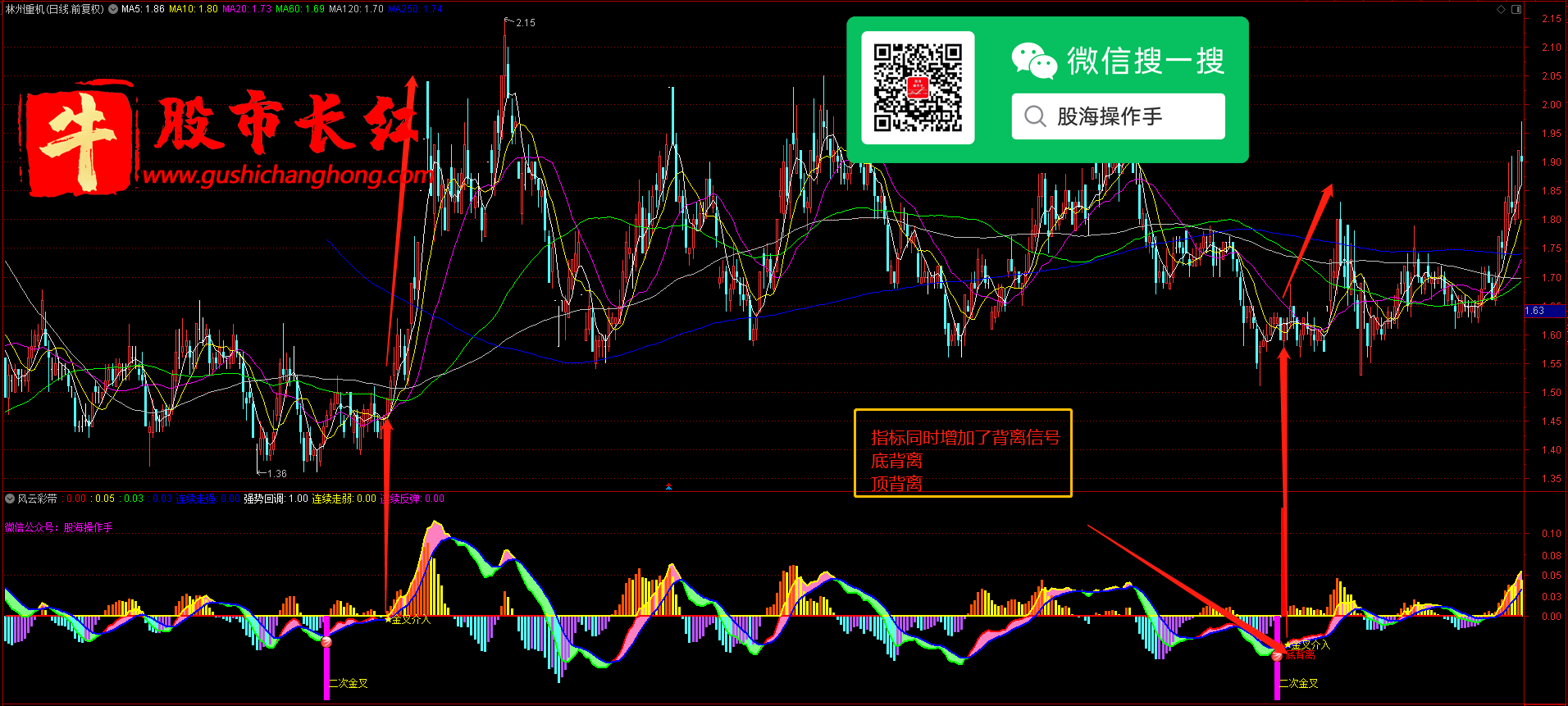 未标题-4.png