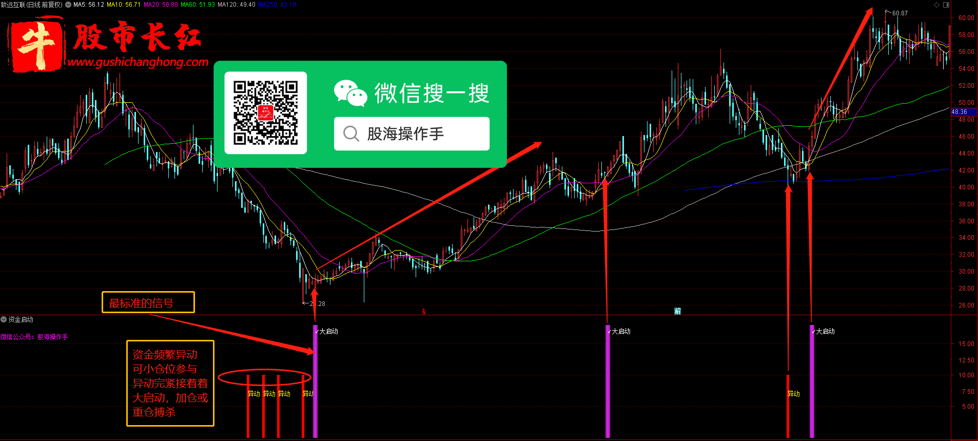 未标题-7.png