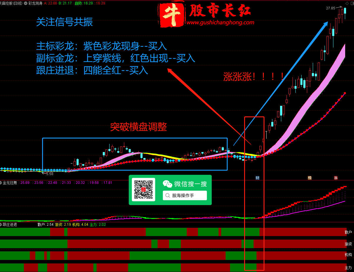 图片8.png