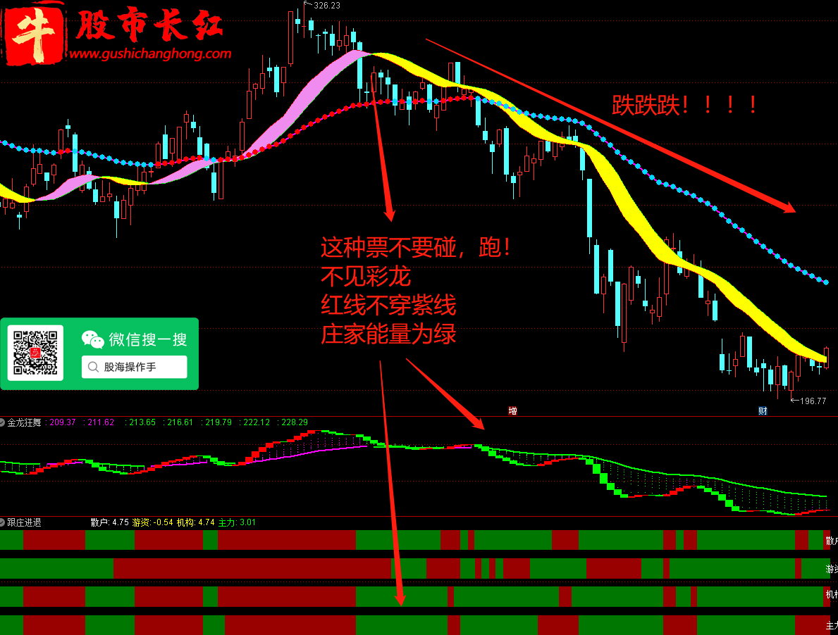 图片13.png