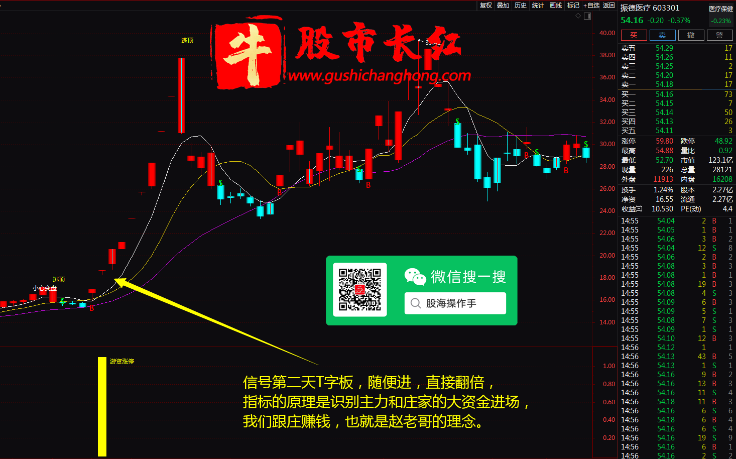 图片10.png
