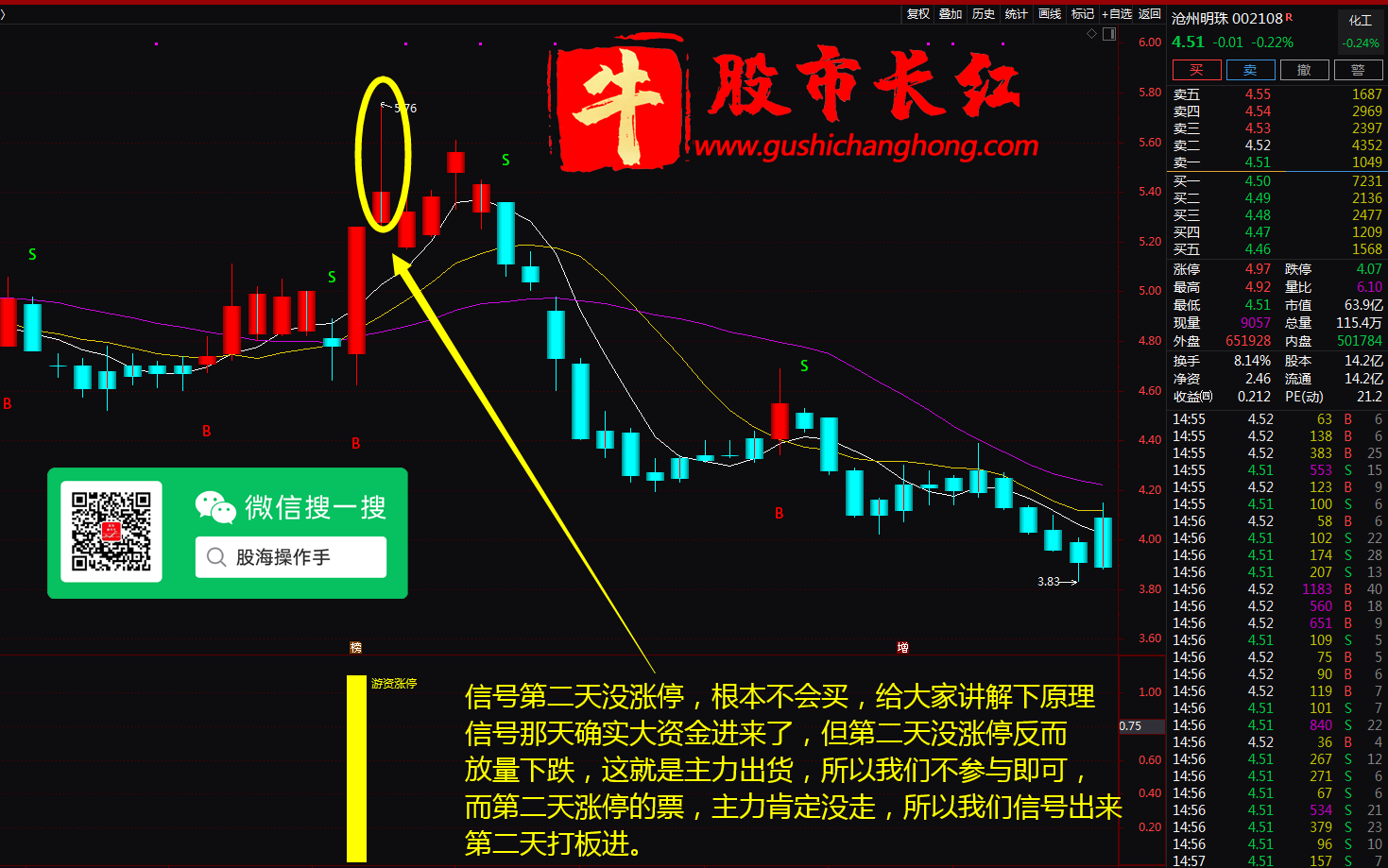 图片15.png