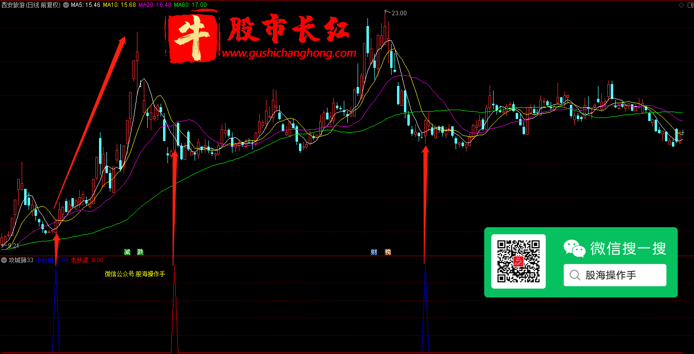 未标题-4.png