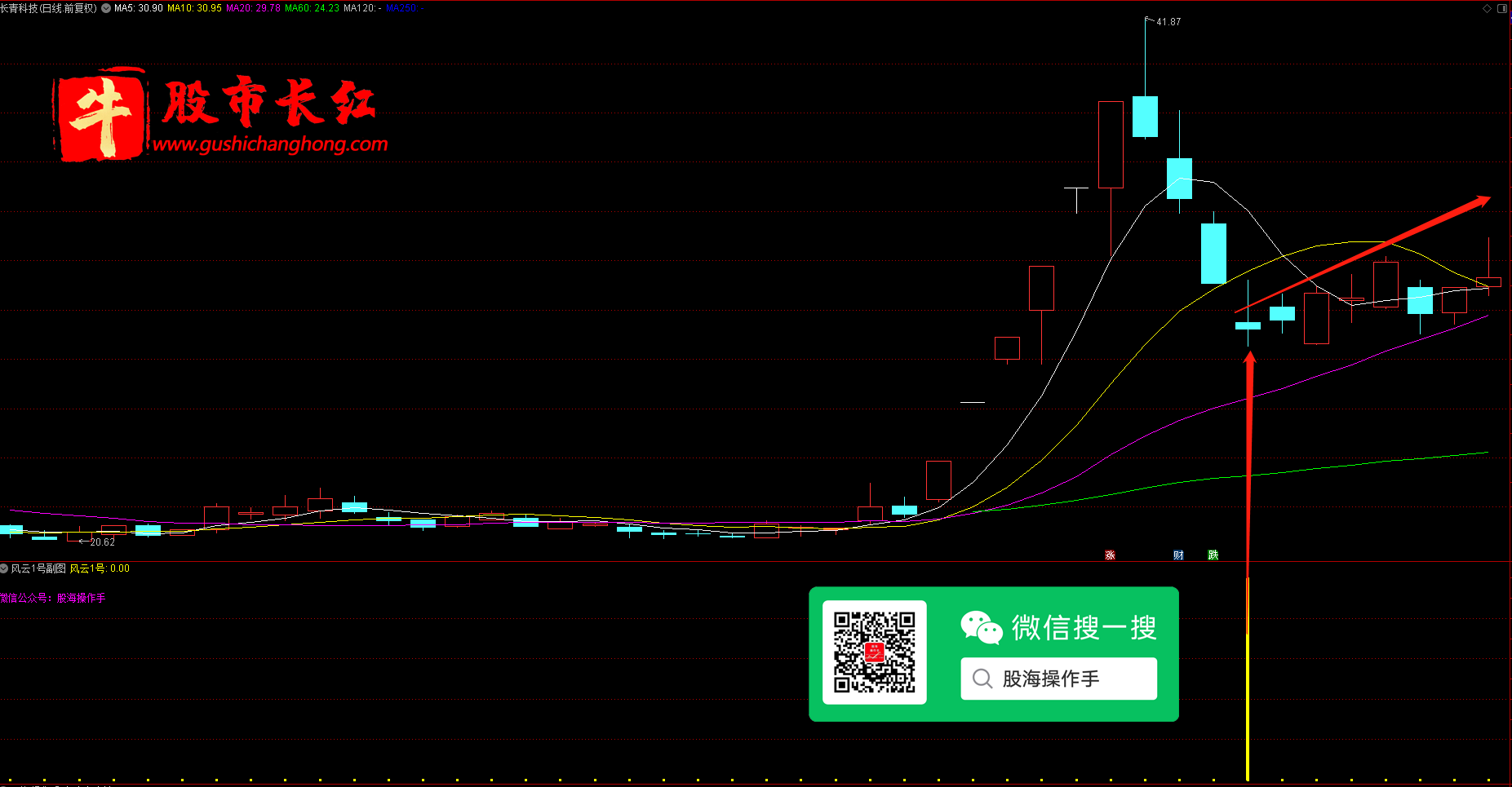未标题-5.png