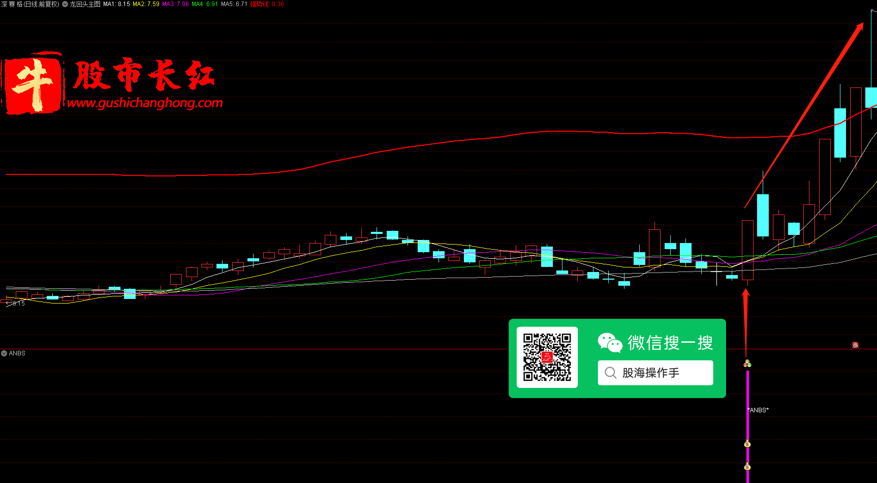 未标题-5.png