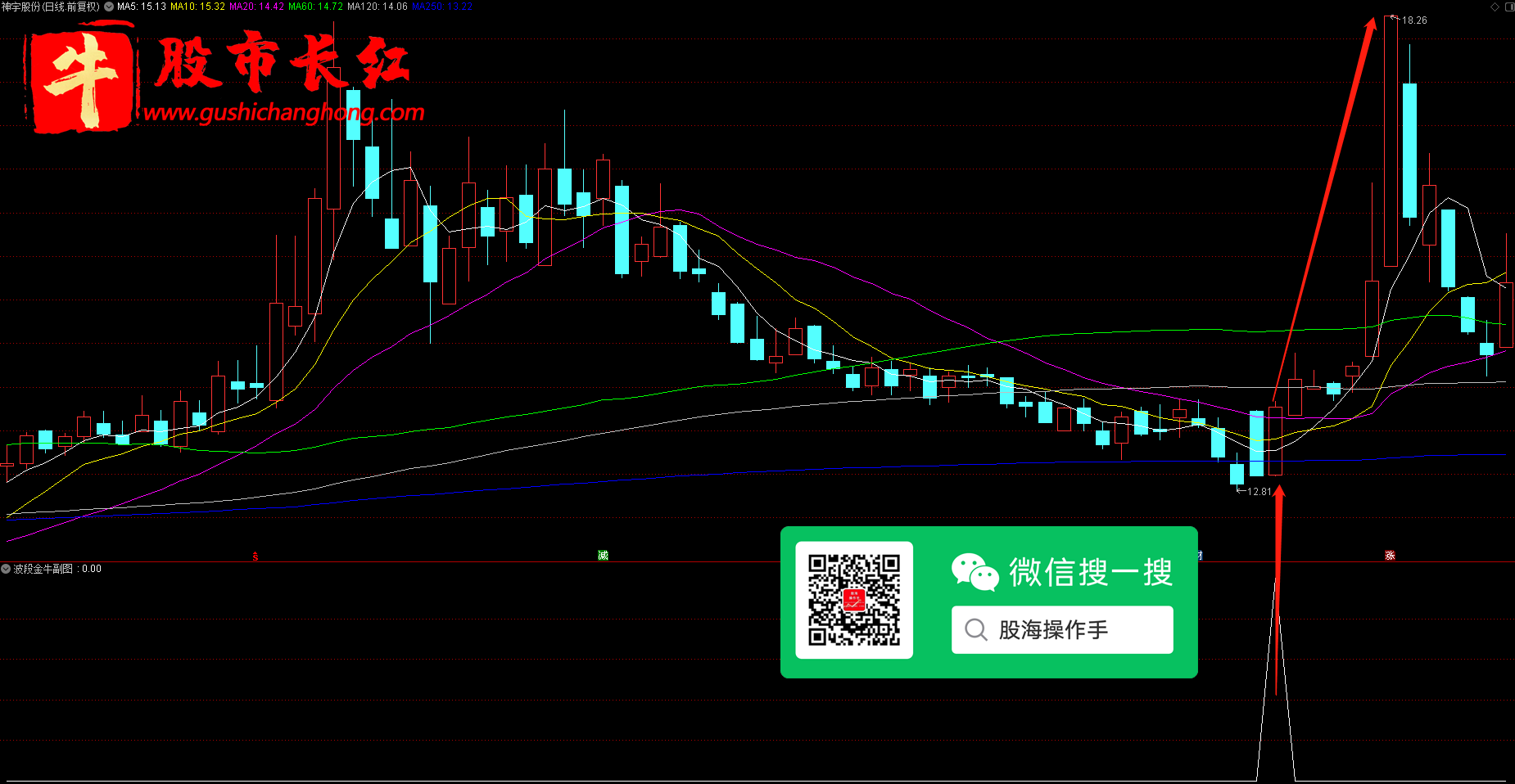 未标题-4.png