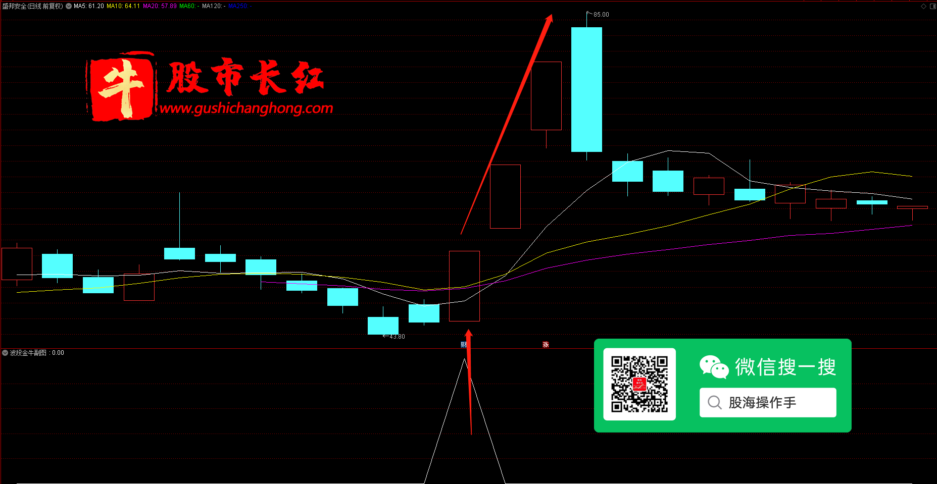 未标题-7.png