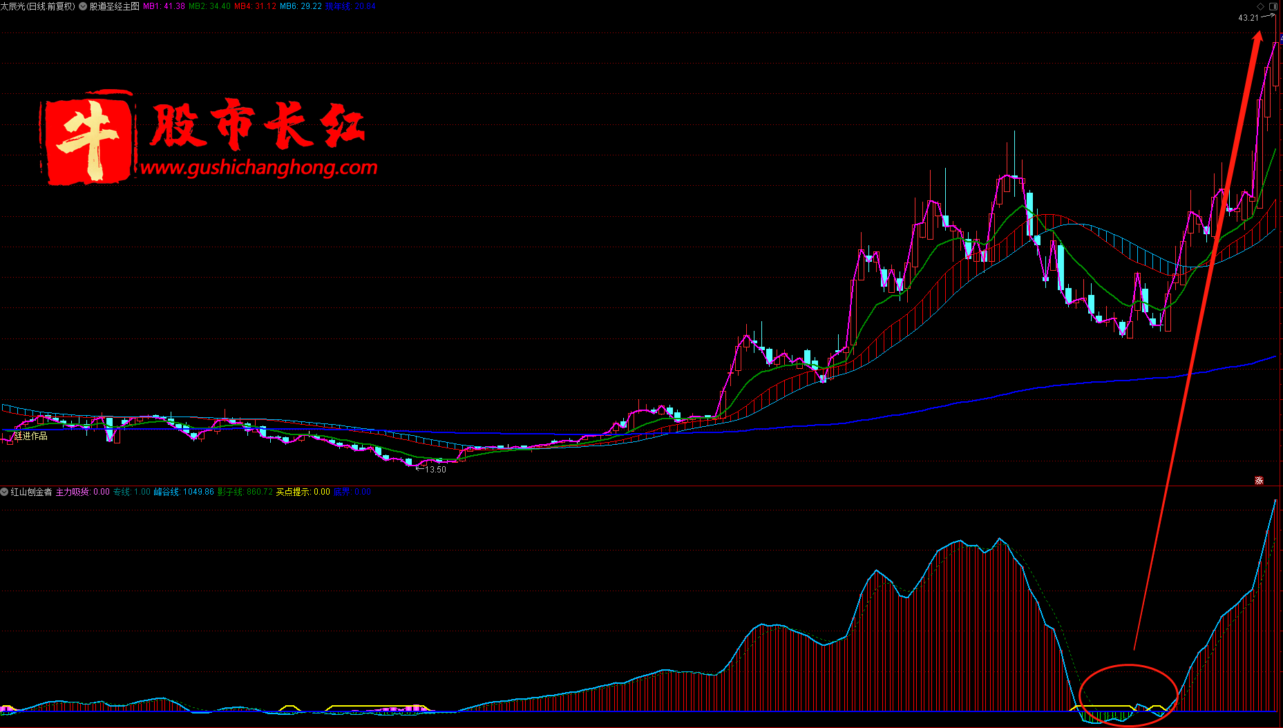 未标题-5.png