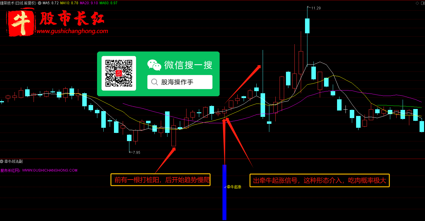 未标题-1.png