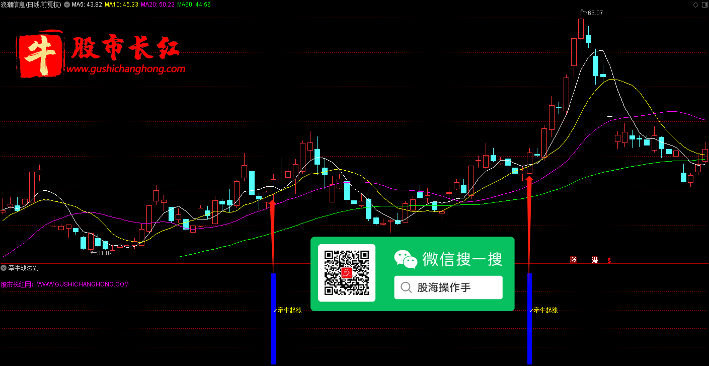 未标题-6.png