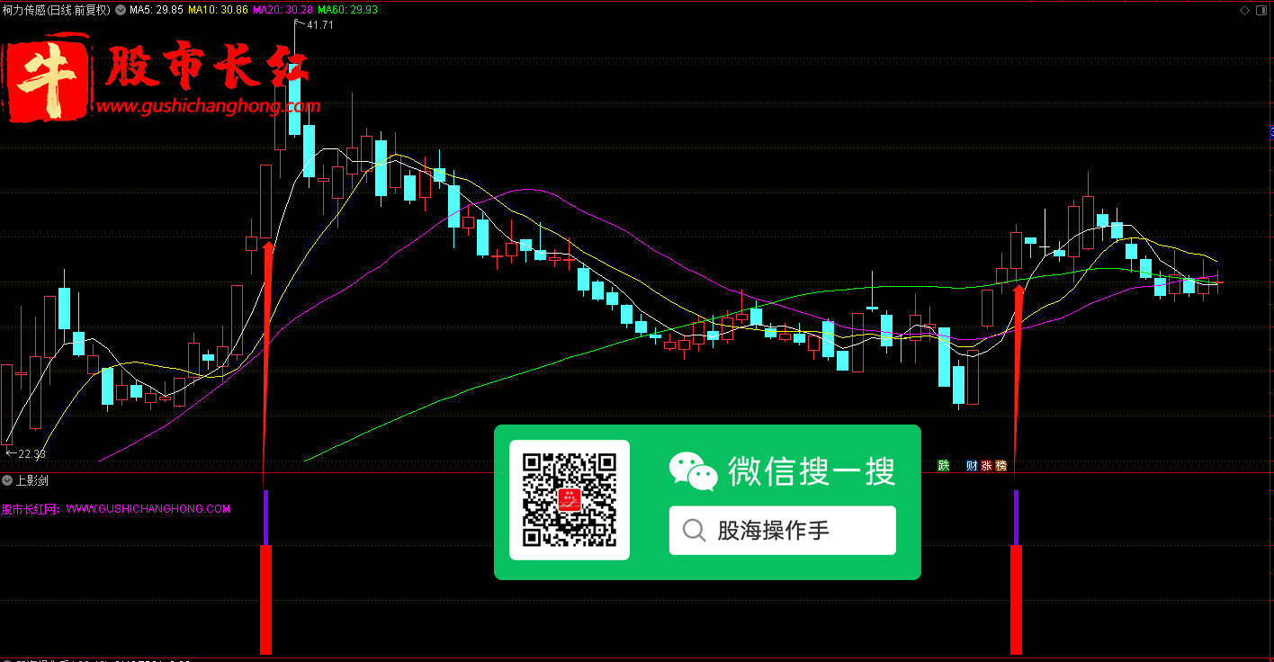 未标题-6.png