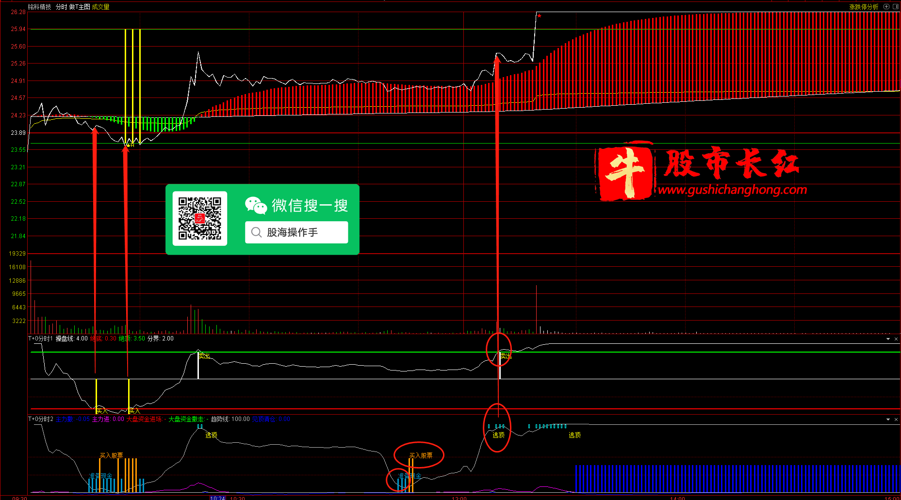 未标题-1.png