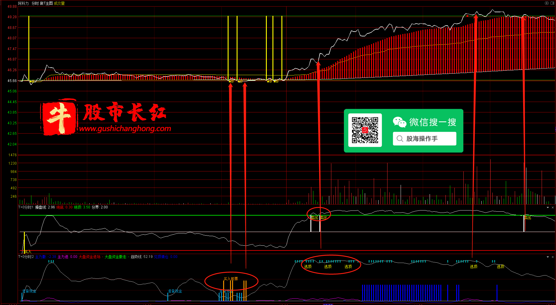 未标题-5.png