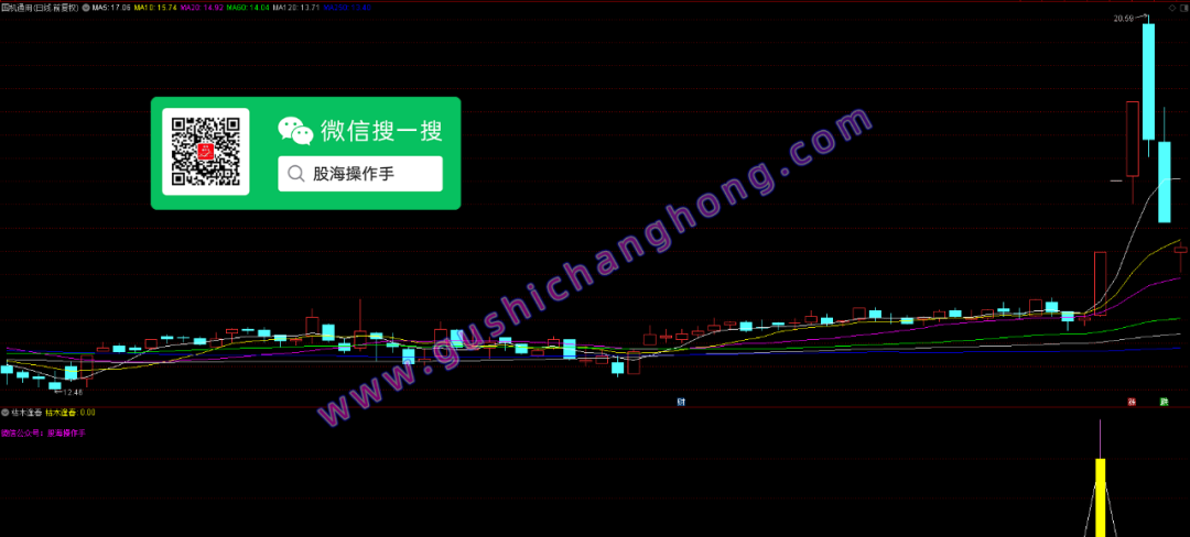 枯木逢春指标