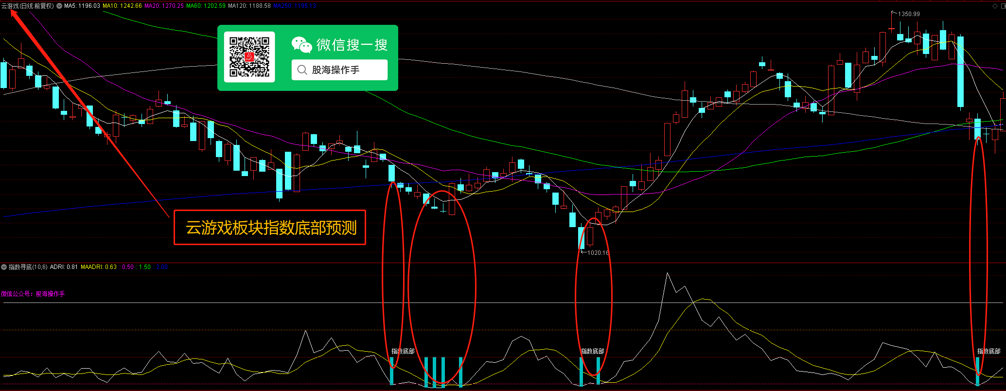 指数寻底王