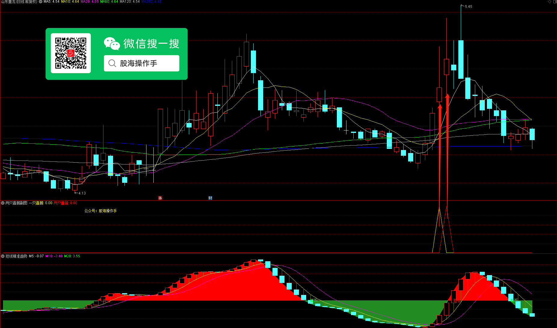 两只喜鹊指标