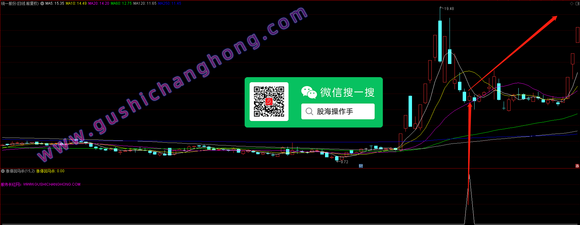 涨停回马杀指标