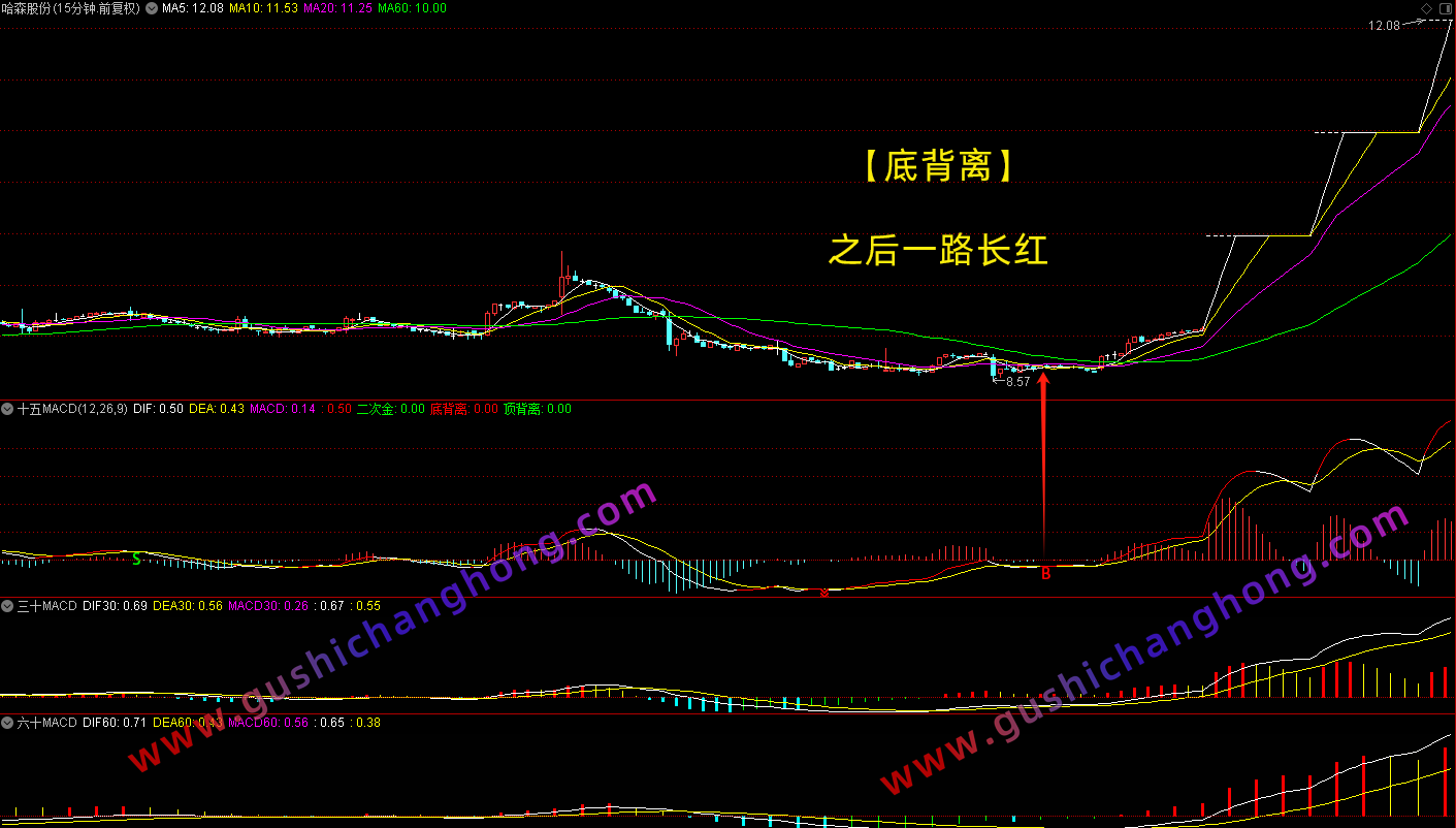 股林秘籍MACD
