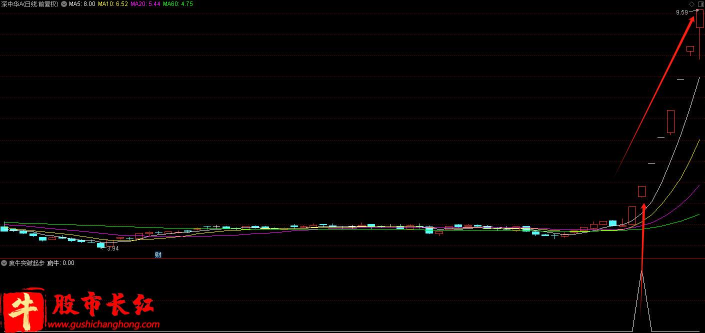 金钻疯牛突破起步指标