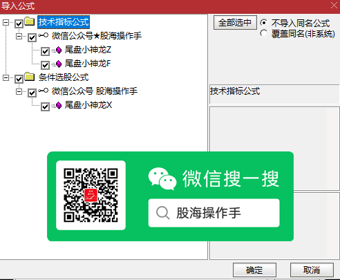 尾盘小神龙