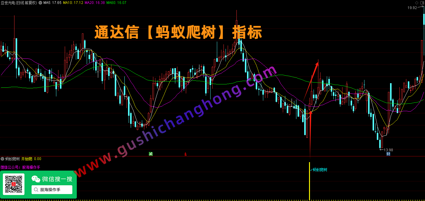 蚂蚁爬树