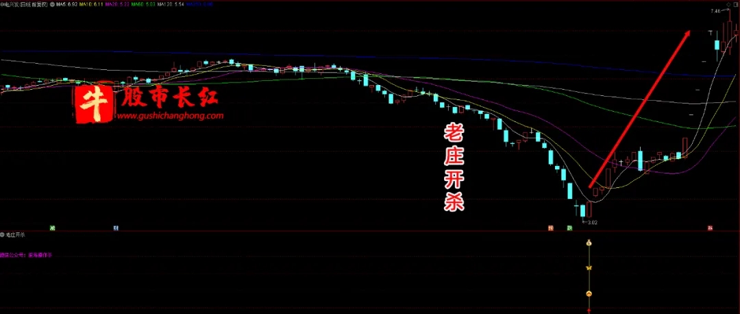 老庄开杀指标