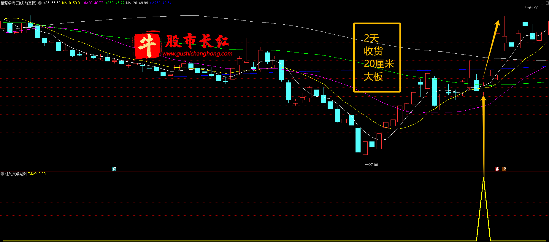 红利支点