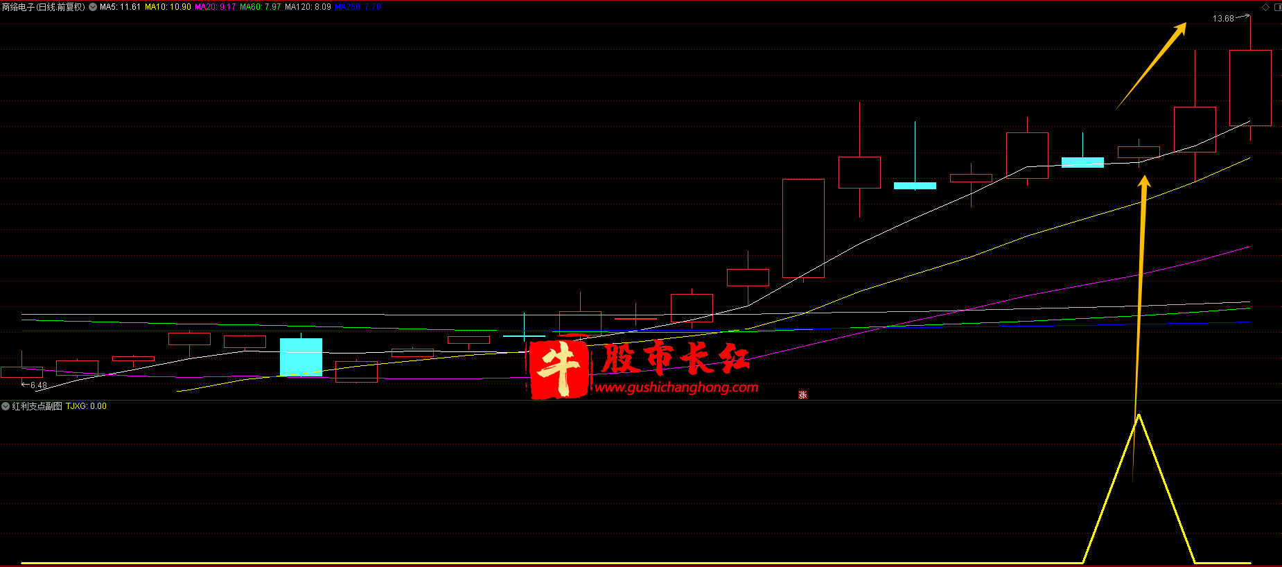 红利支点