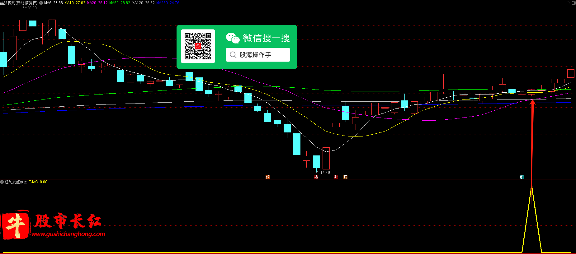 红利支点