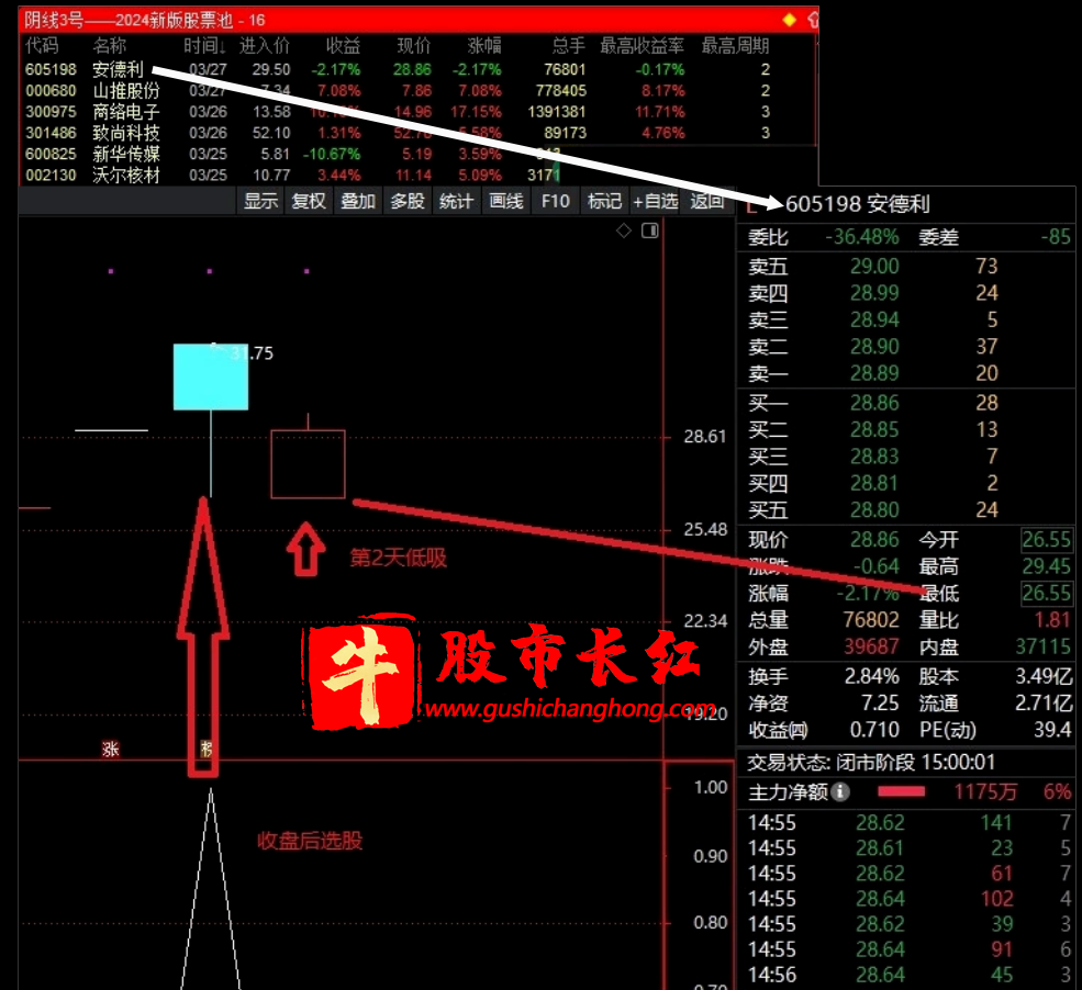 金钻阴线3号