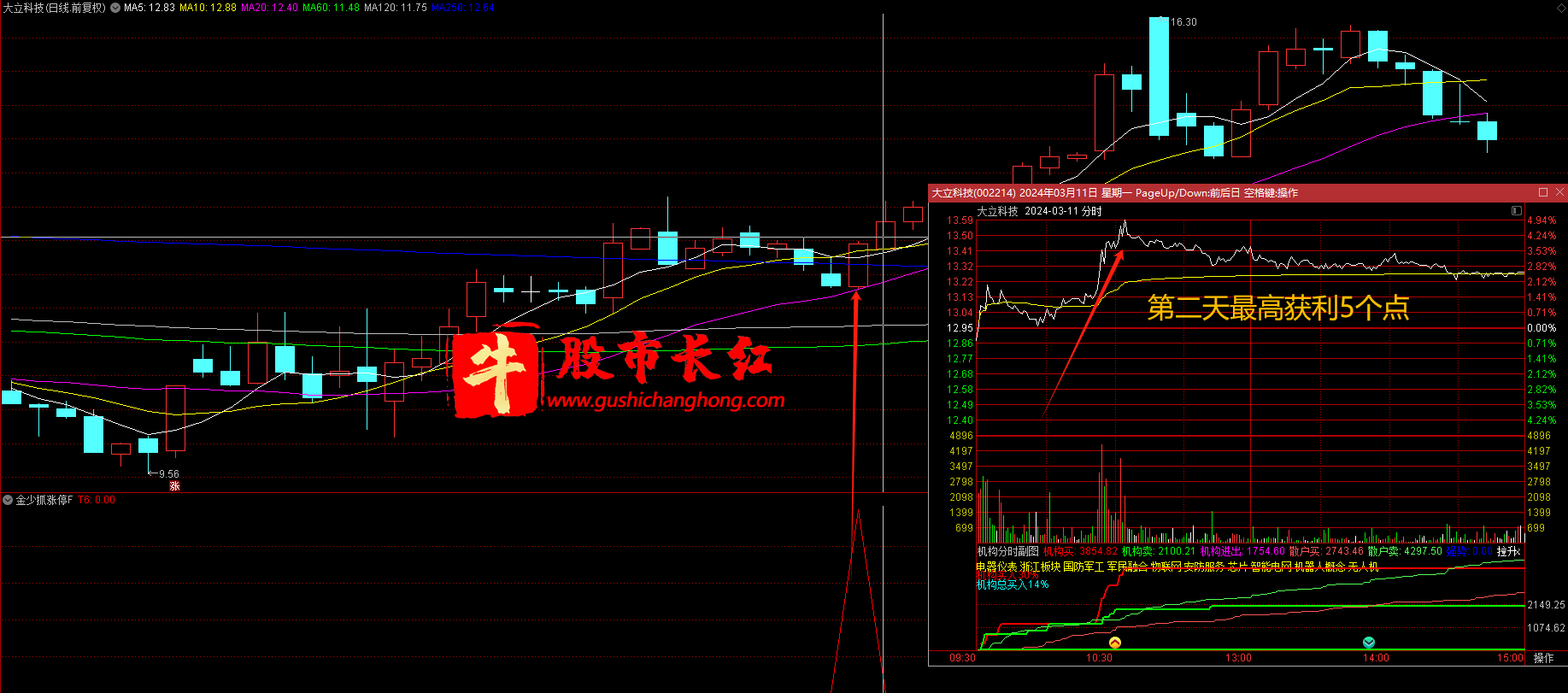 金少抓涨停