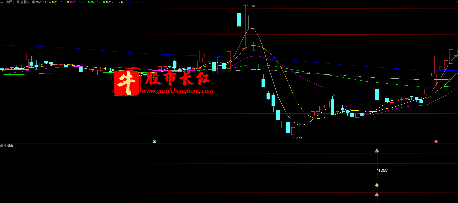 牛爆盘指标