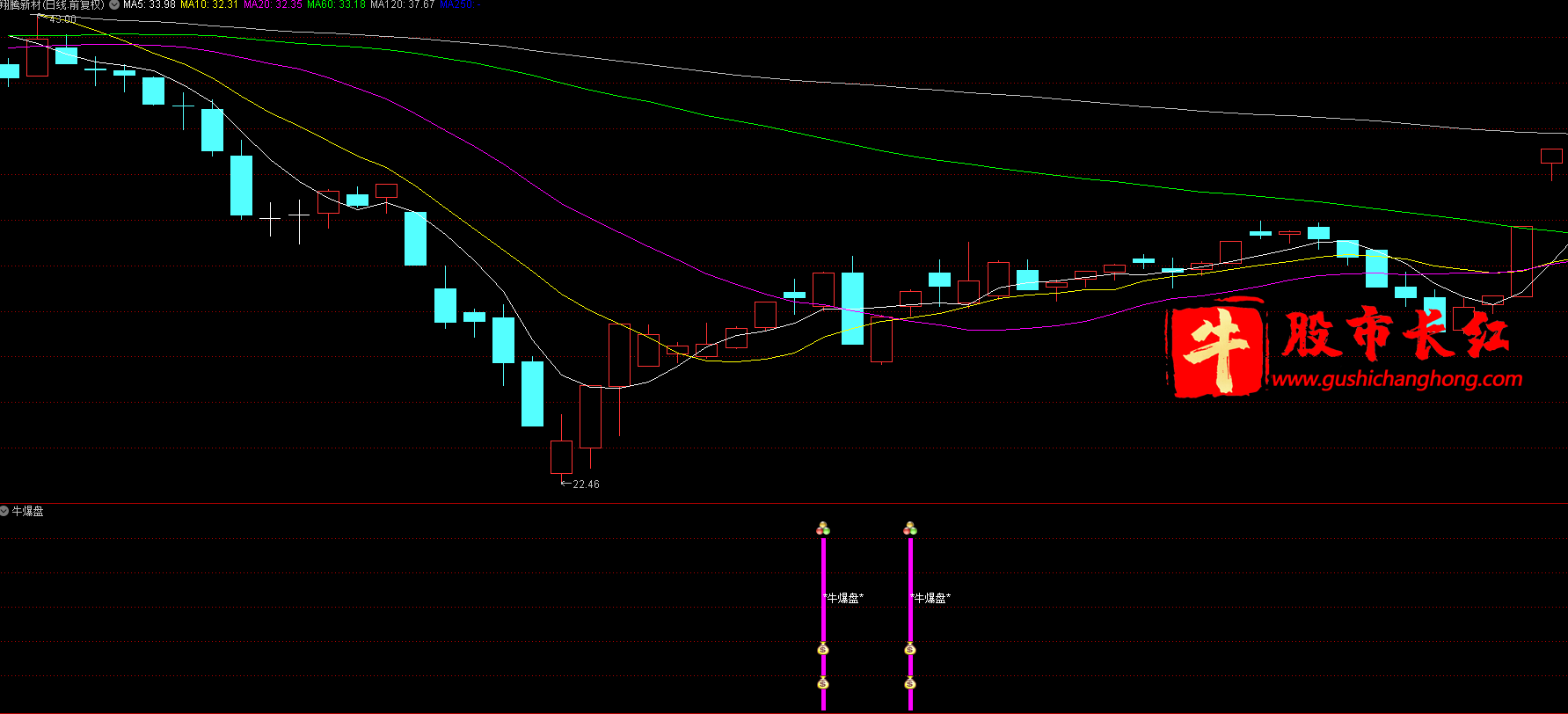 牛爆盘指标