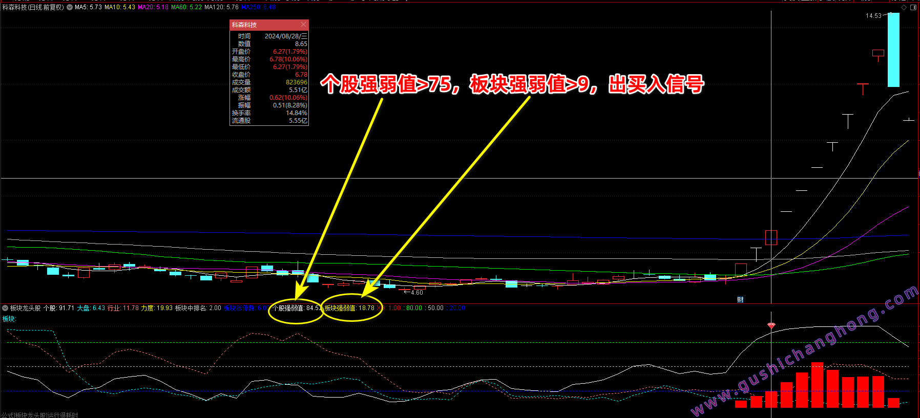 【VIP指标】通达信【板块龙头】指标,副图、选股,板块与个股打分,快速捕捉板块领涨强势股,无未来函数,仅限电脑通达信通用-通达信公式-股市长红网