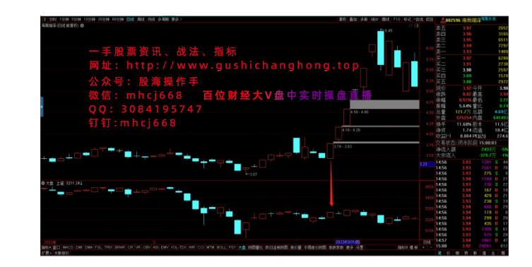 御龙诀（一）共振龙：揭露建投_天保_建艺的共同秘密【股市长红】_08.png